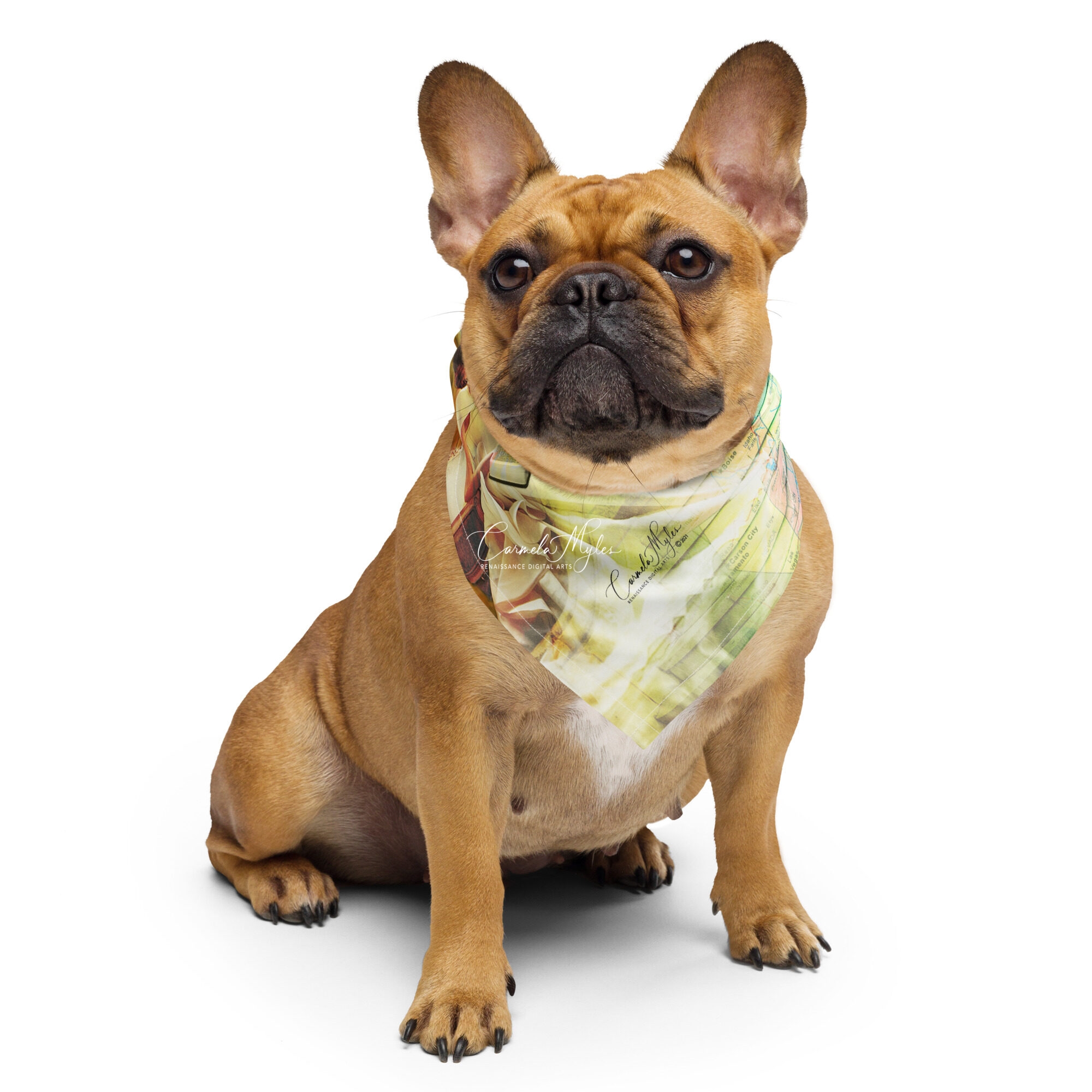 Pet Bandana – Intercessor's Arise - Carmela Myles